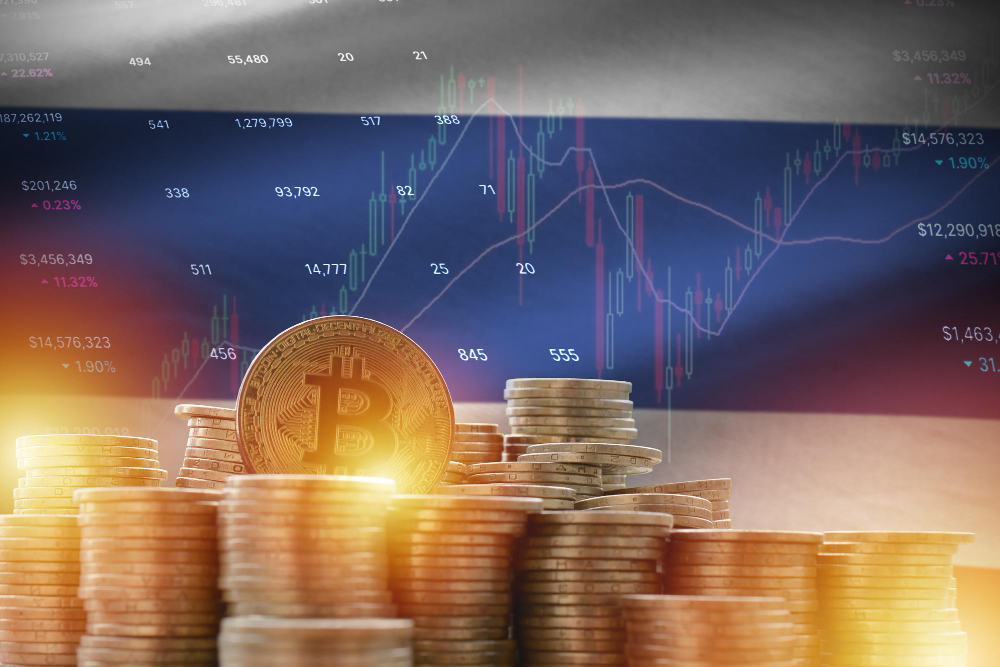 A screen showing market charts for stock futures, bitcoin, gold, and the U.S. dollar