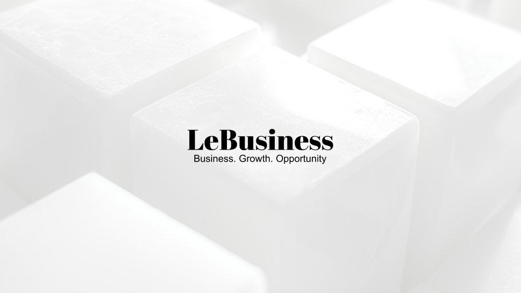 LeBusiness logo
